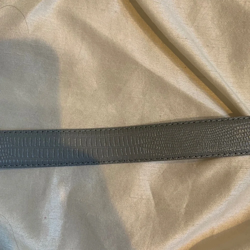 Dame Gray/Silver/ Gold Belt sz S
